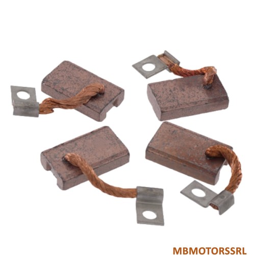 Kit spazzole dinam - spazzole,
