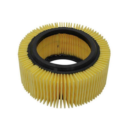 Filtro aria piaggio ape car - piaggio,